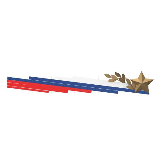 Триколор Ассиметрия